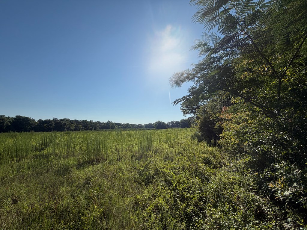 1 Nichols Road Pinckard, AL 36350 - Photo 7 of 29