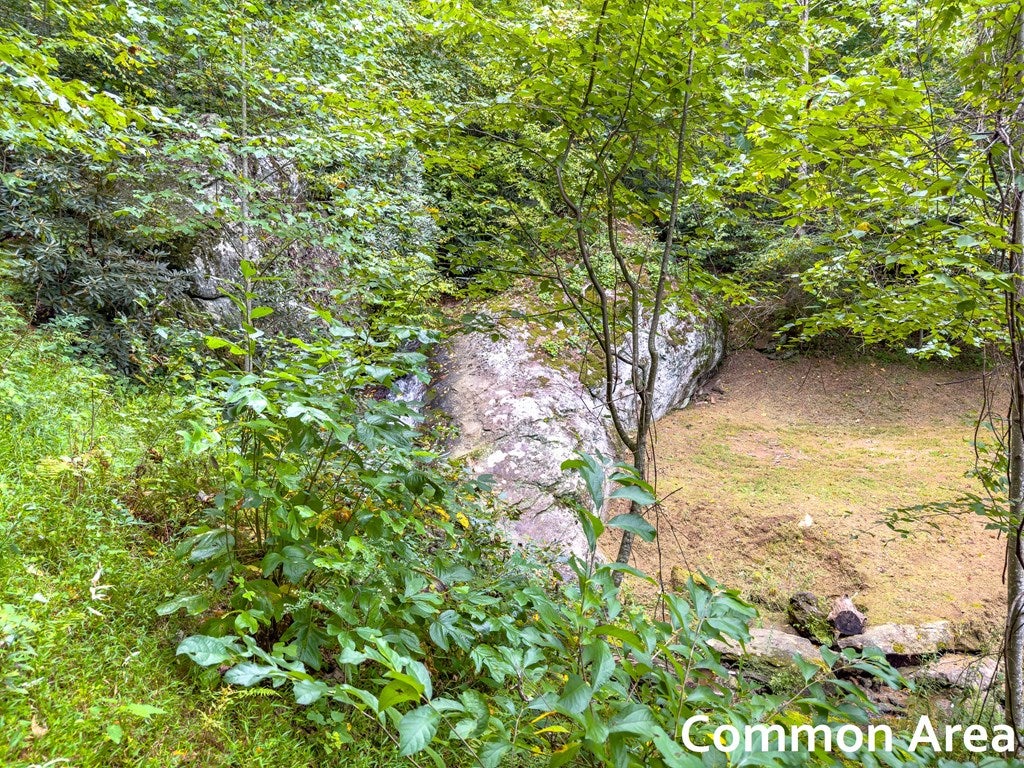 Lot 104 Spring Pond Trail, Unit 104 Fancy Gap, VA 24328 - Photo 48 of 54 Gallery Image 48