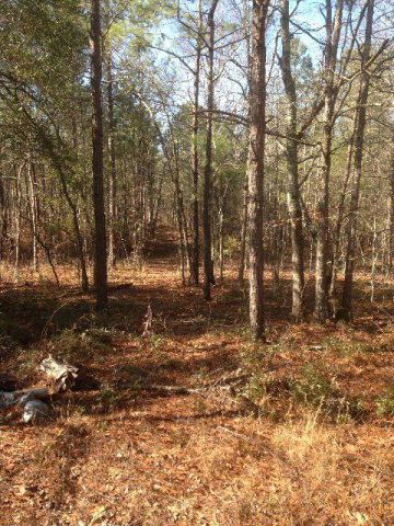 286 Post Oak Road Waynesboro, GA 30830 - Photo 1 of 1 Main View