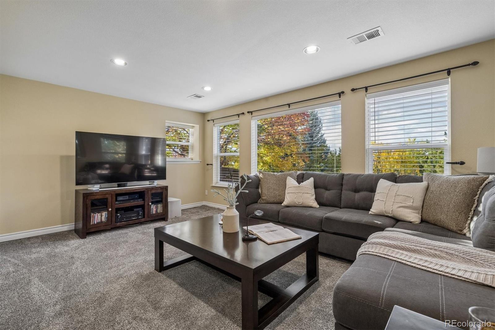 10833 Fox Sedge Way Highlands Ranch, CO 80126 - Photo 32 of 50 Gallery Image 32