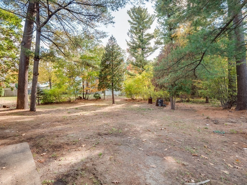 116 Arkansas Road Tewksbury, MA 01876 - Photo 31 of 38 a view of dirt yard with a large tree