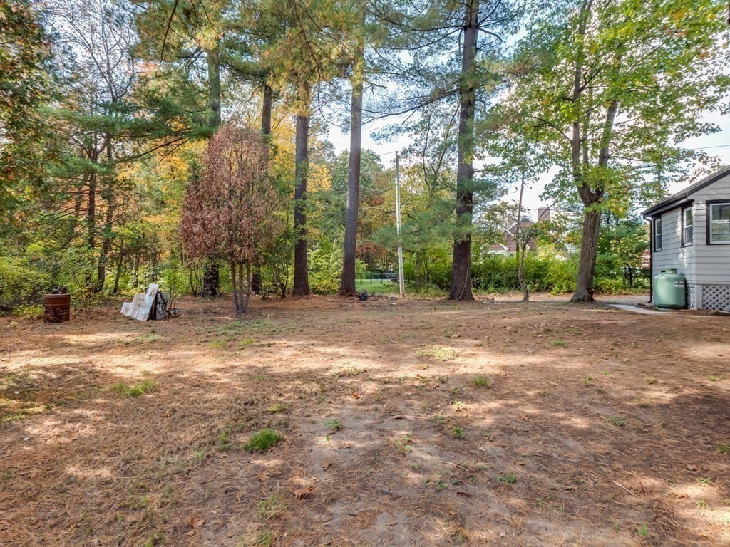 116 Arkansas Road Tewksbury, MA 01876 - Photo 33 of 38 a view of outdoor space with trees