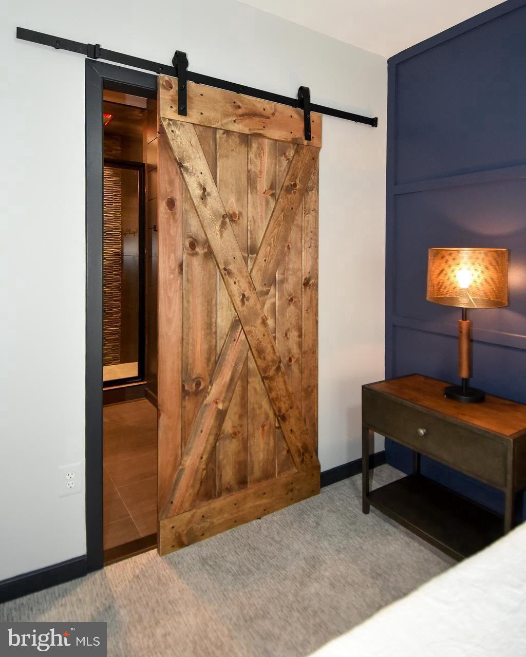 1029 5th Street Southeast Washington, DC 20003 - Photo 17 of 58 Owners Suite Bathroom Farm Door