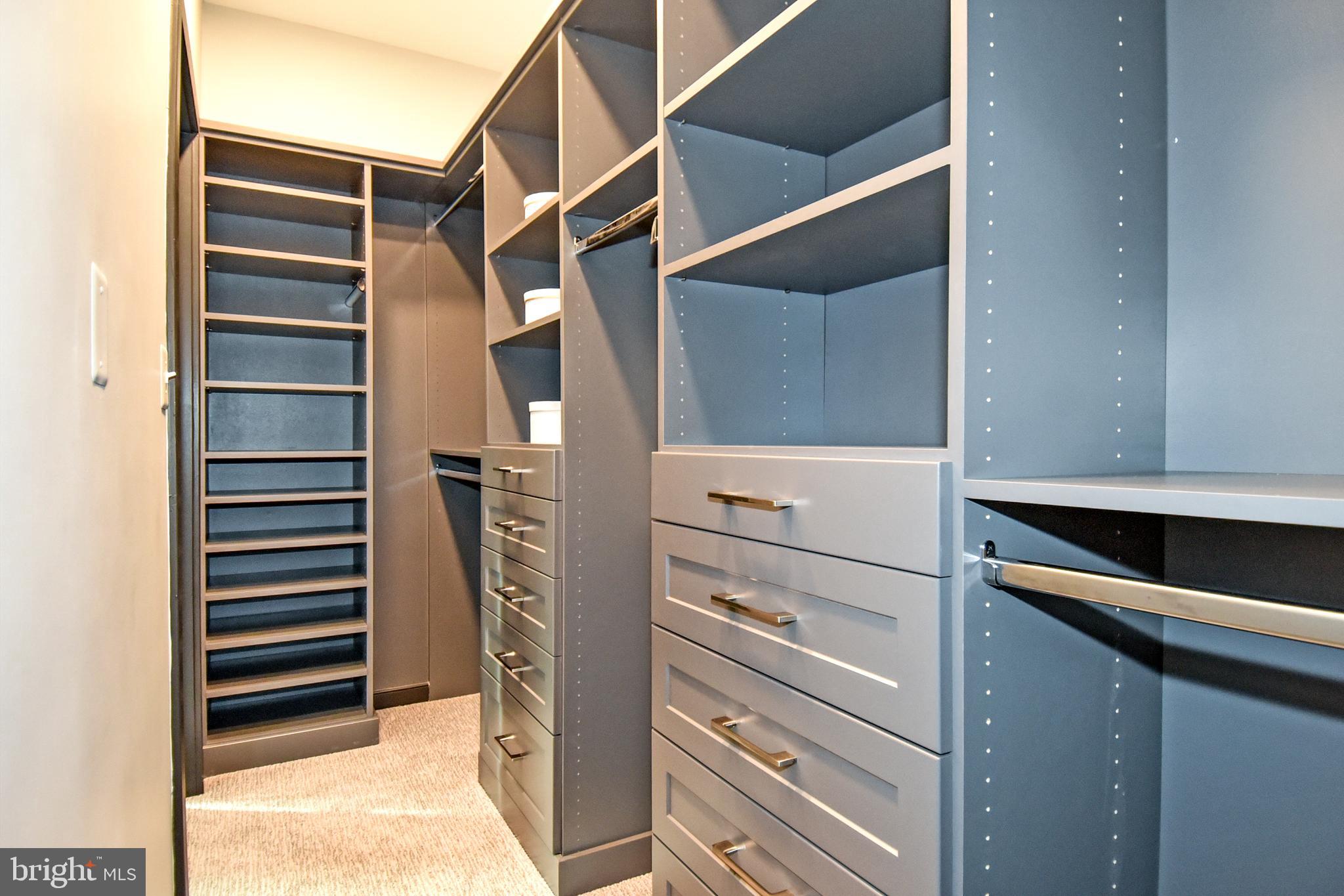 1029 5th Street Southeast Washington, DC 20003 - Photo 23 of 58 Costume Built Closet