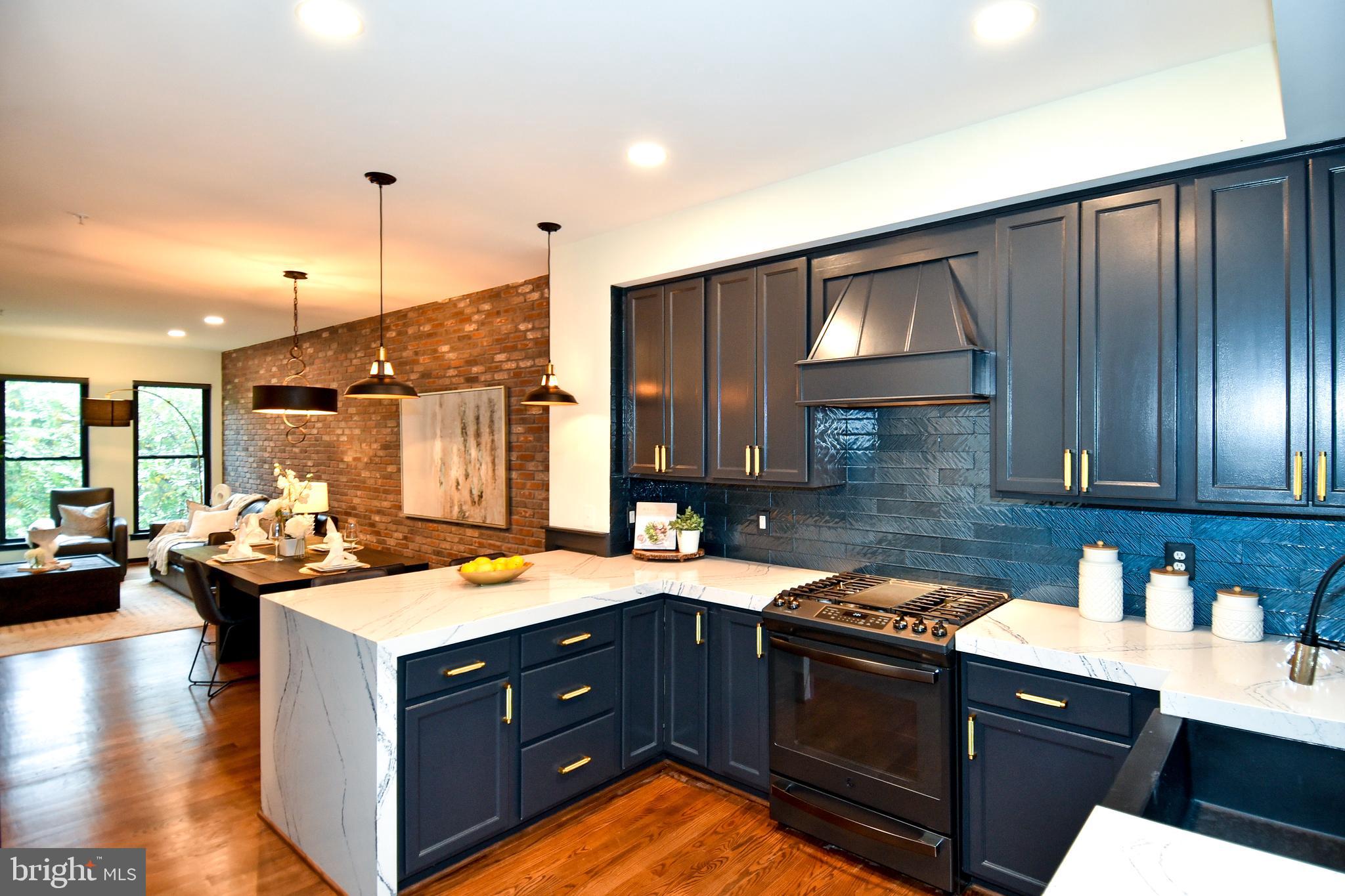 1029 5th Street Southeast Washington, DC 20003 - Photo 6 of 58 Renovated Kitchen