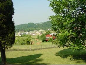 176 Bayless Road Jonesborough, TN 37659 - Photo 7 of 9 Photo 7