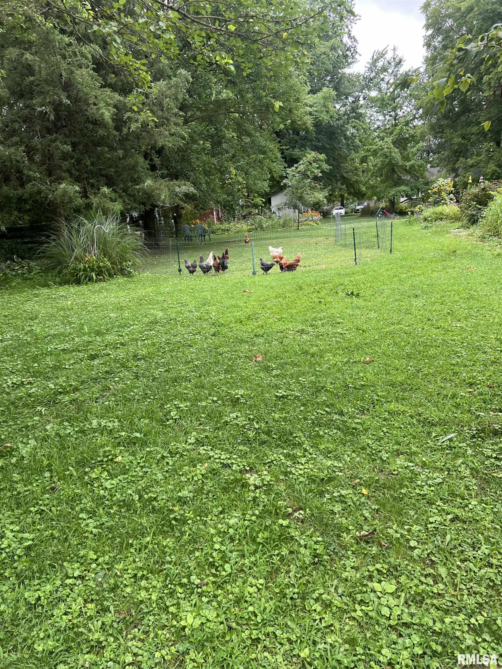 13721 West Southport Road Brimfield, IL 61517 - Photo 11 of 28