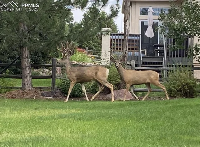a view of a chair and table in the yard