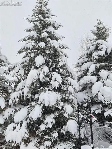 a view of a large yard with lots of trees