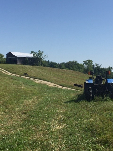2150 Greenup Road Owenton, KY 40359 - Photo 21 of 29 Gallery Image 21
