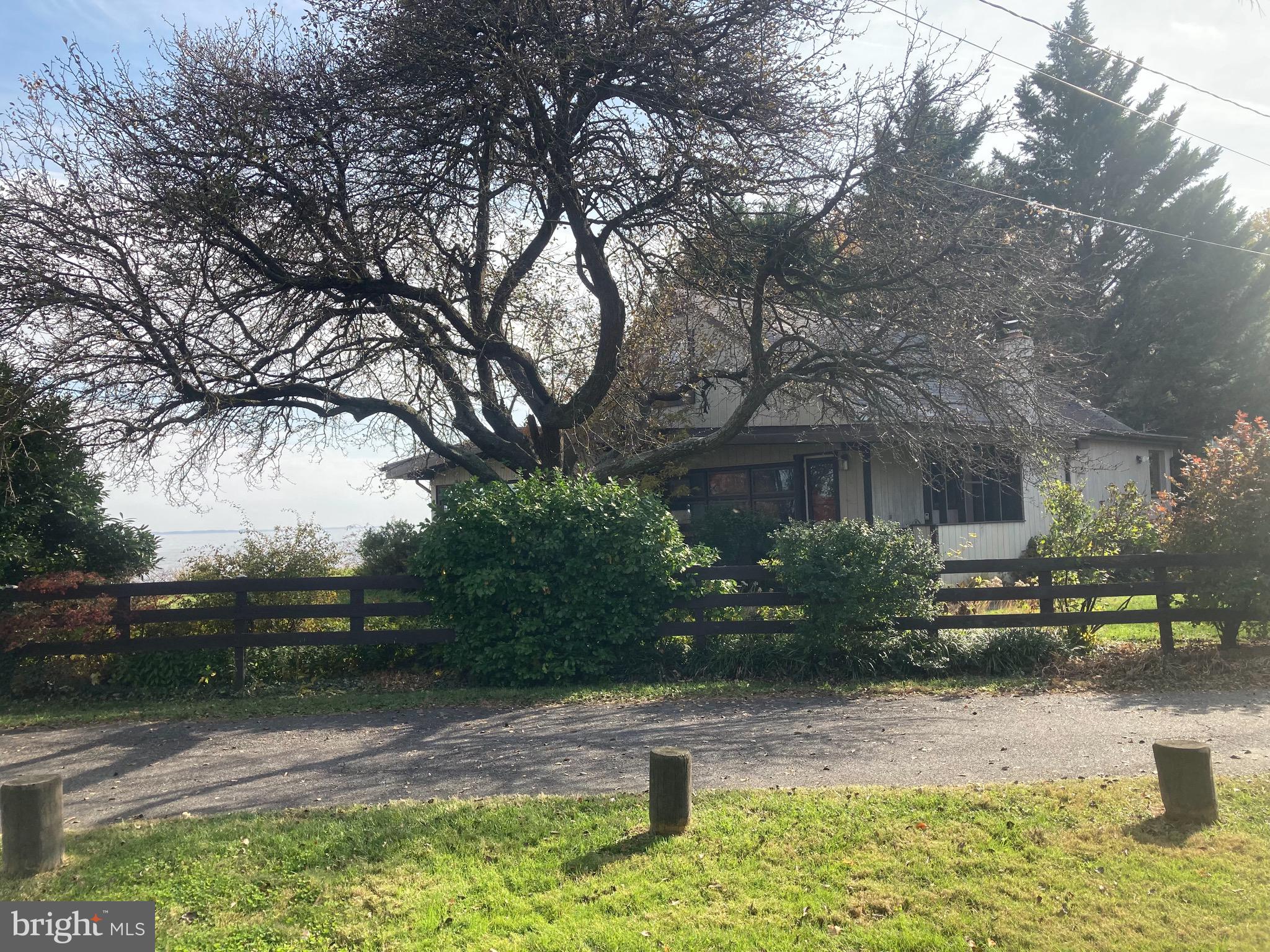 3911 Bayside Drive Edgewater, MD 21037 - Photo 11 of 28 Sculpted tree and water water everywhere