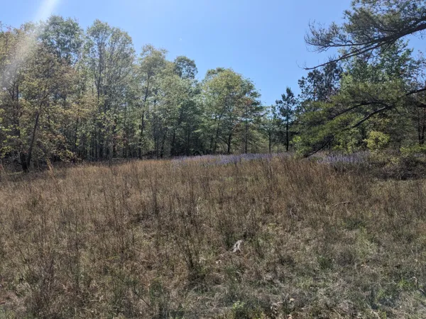 $519,000 | 4781 Deans Bridge Road, Blythe, GA 30805