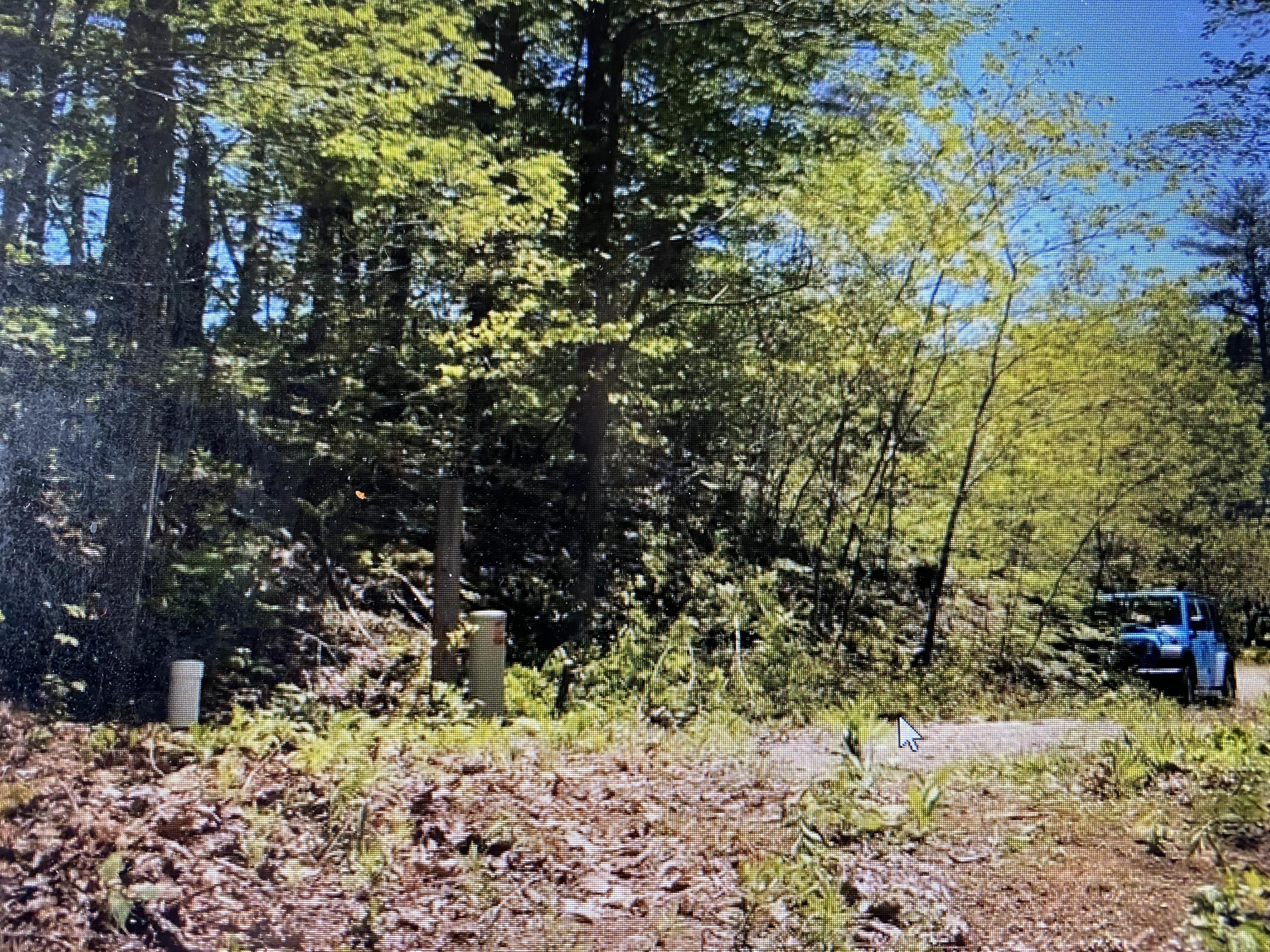 9 Draft Road, Unit 9 Butler, TN 37640 - Photo 11 of 34 003C8C02-C2D4-4AA5-AA70-7D3EF87A4E83