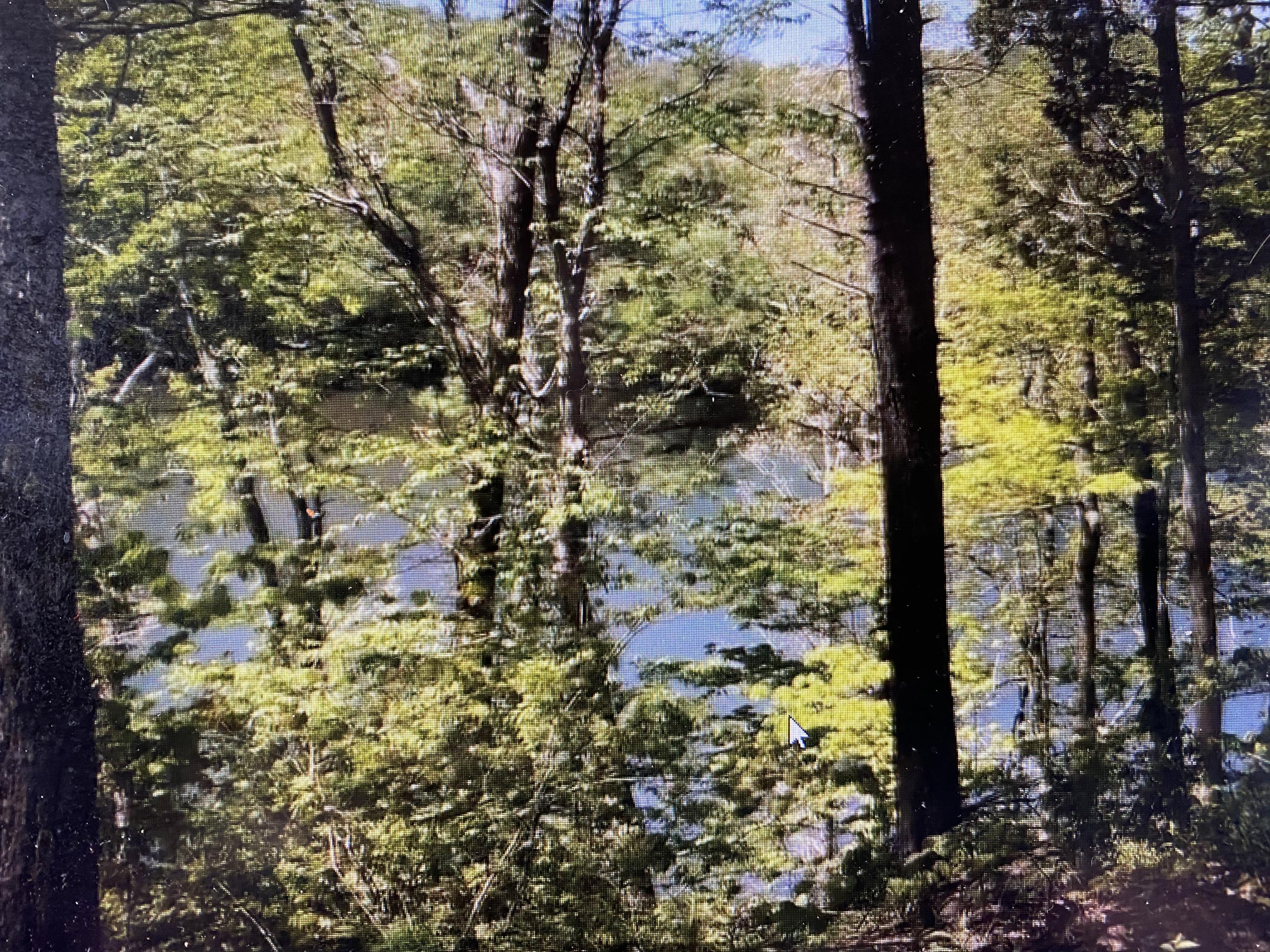 9 Draft Road, Unit 9 Butler, TN 37640 - Photo 13 of 34 39F76396-5A39-44F8-9D73-9C4815D221B7