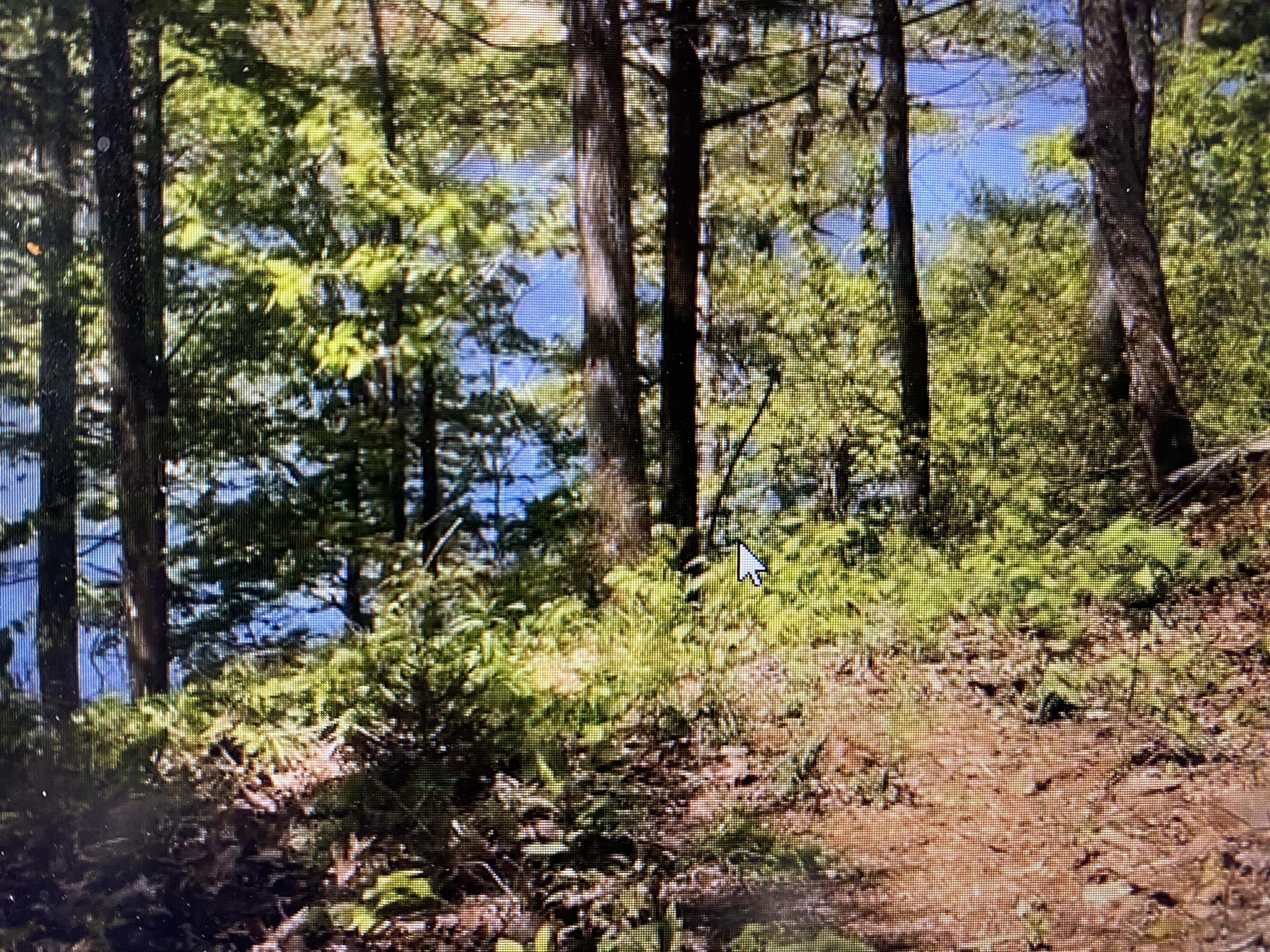 9 Draft Road, Unit 9 Butler, TN 37640 - Photo 18 of 34 718E4F3D-026A-44B3-ACE7-1BA79D36978B