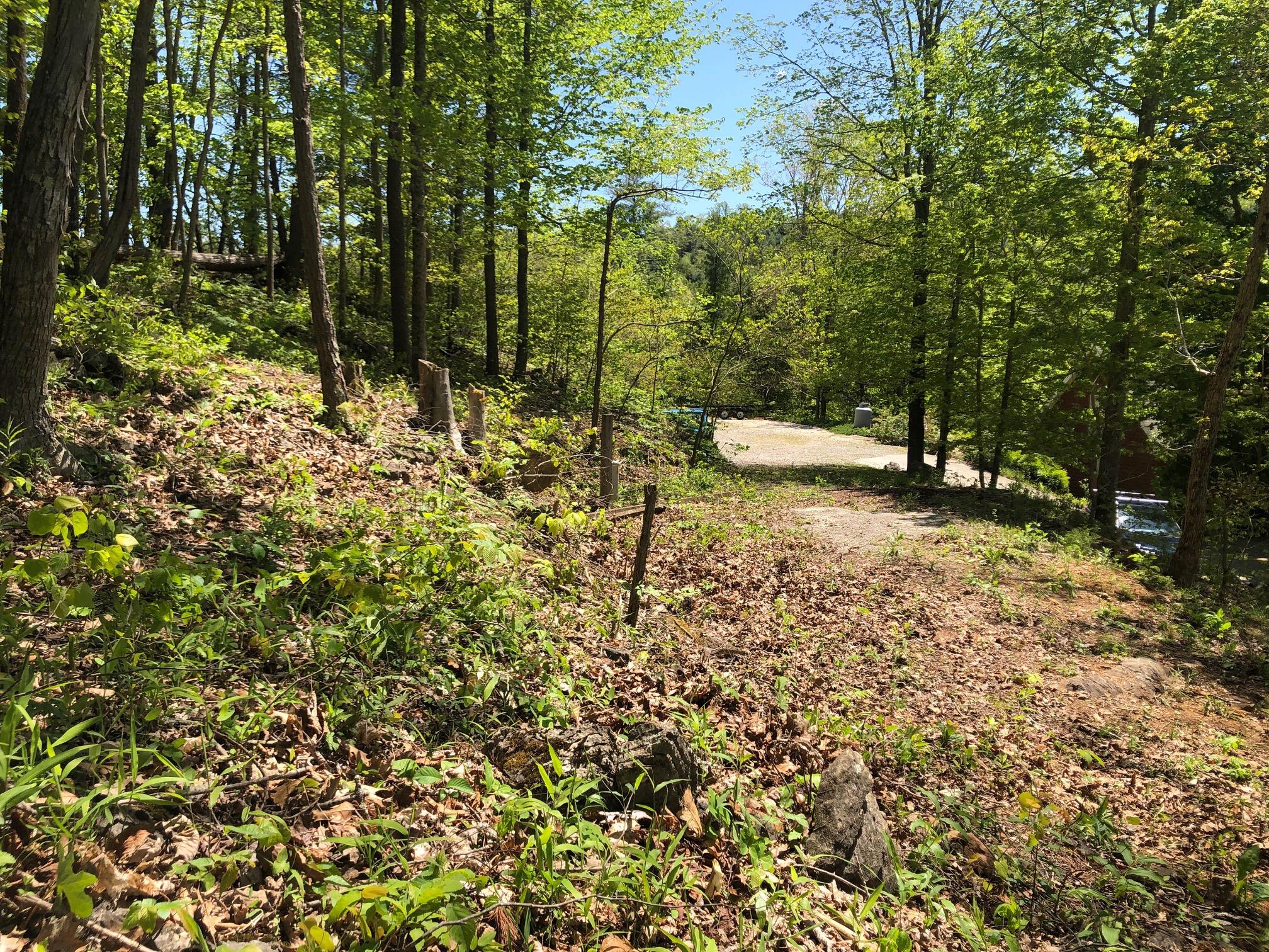9 Draft Road, Unit 9 Butler, TN 37640 - Photo 34 of 34 151B32D2-3290-4C74-A3CF-A4F6FA6252A3