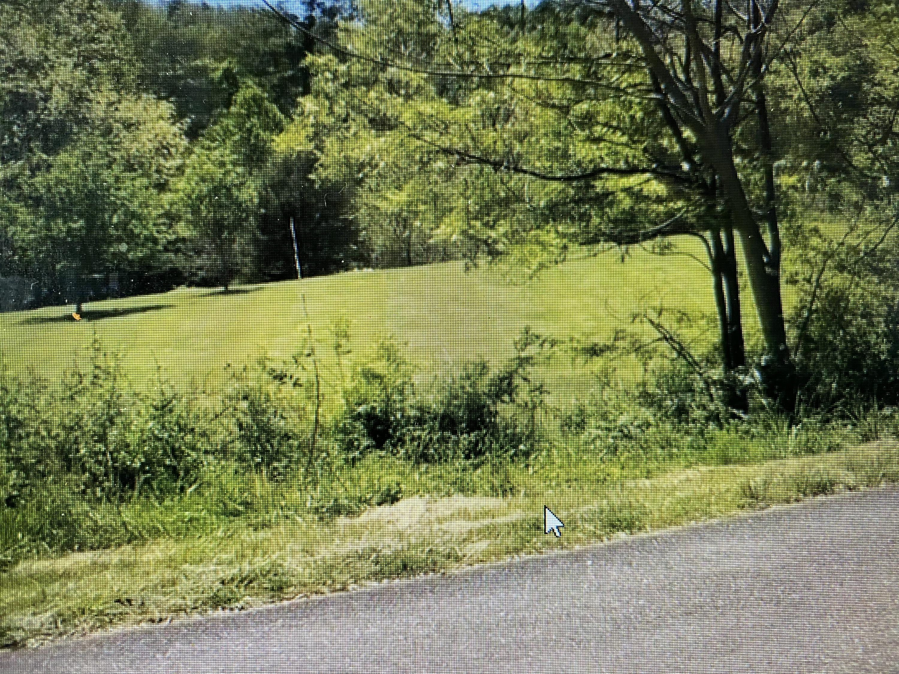 9 Draft Road, Unit 9 Butler, TN 37640 - Photo 4 of 34 4AB52561-C1FD-47BA-8658-EE64D9AB333D