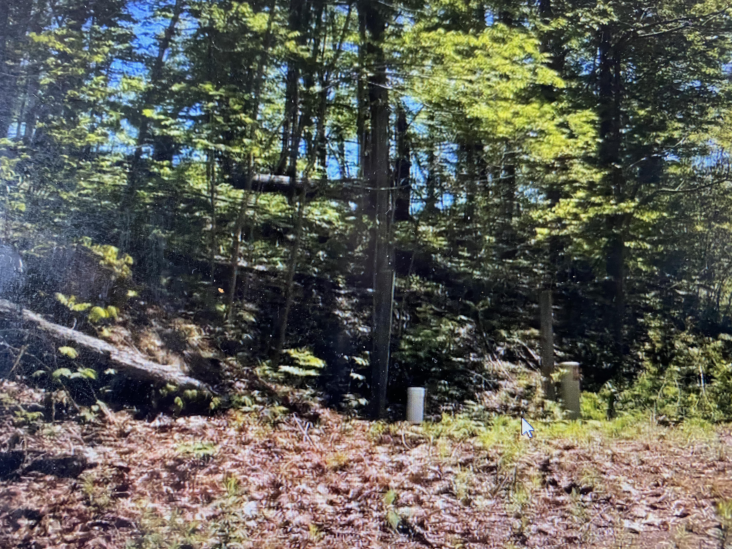 9 Draft Road, Unit 9 Butler, TN 37640 - Photo 10 of 34 00A13379-EA4C-4EC1-9760-BCC62AA3C352
