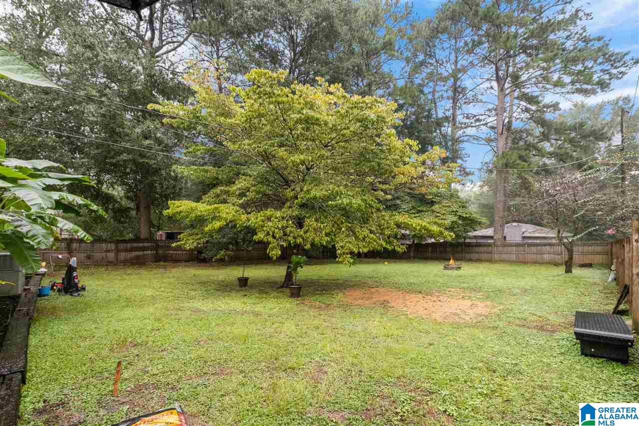 7024 Highway 11 Springville, AL 35146 - Photo 24 of 28