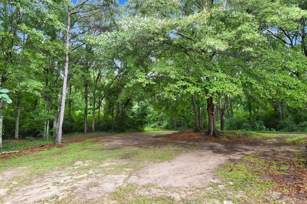 4601 Prevatt Road Cowarts, AL 36321 - Photo 44 of 44