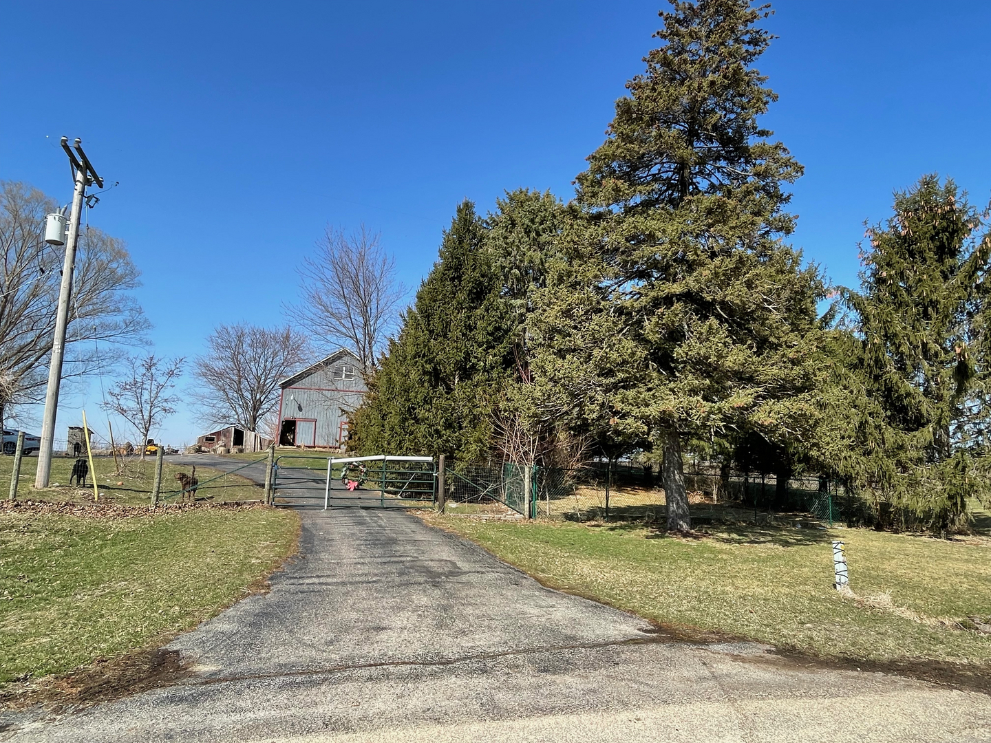 1733 Plock Road Dixon, IL 61021 - Photo 11 of 23 a view of outdoor space with garden