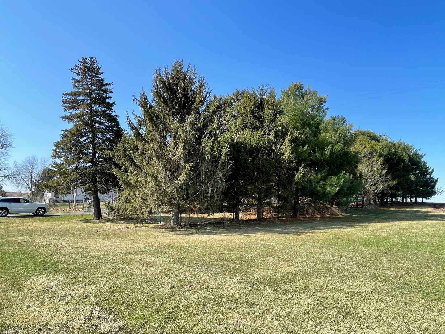 1733 Plock Road Dixon, IL 61021 - Photo 12 of 23 a view of outdoor space with trees all around