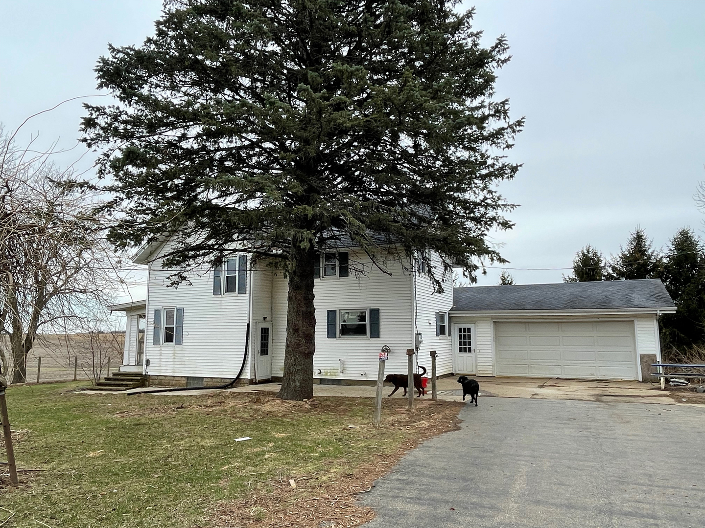 1733 Plock Road Dixon, IL 61021 - Photo 2 of 23 a white house that has a tree in front of it