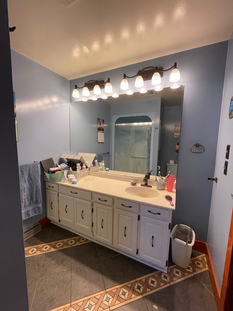 1733 Plock Road Dixon, IL 61021 - Photo 22 of 23 a bathroom with a double vanity sink mirror and double