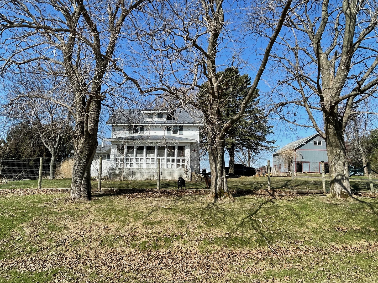 1733 Plock Road Dixon, IL 61021 - Photo 8 of 23 a view of a house with a yard and a tree