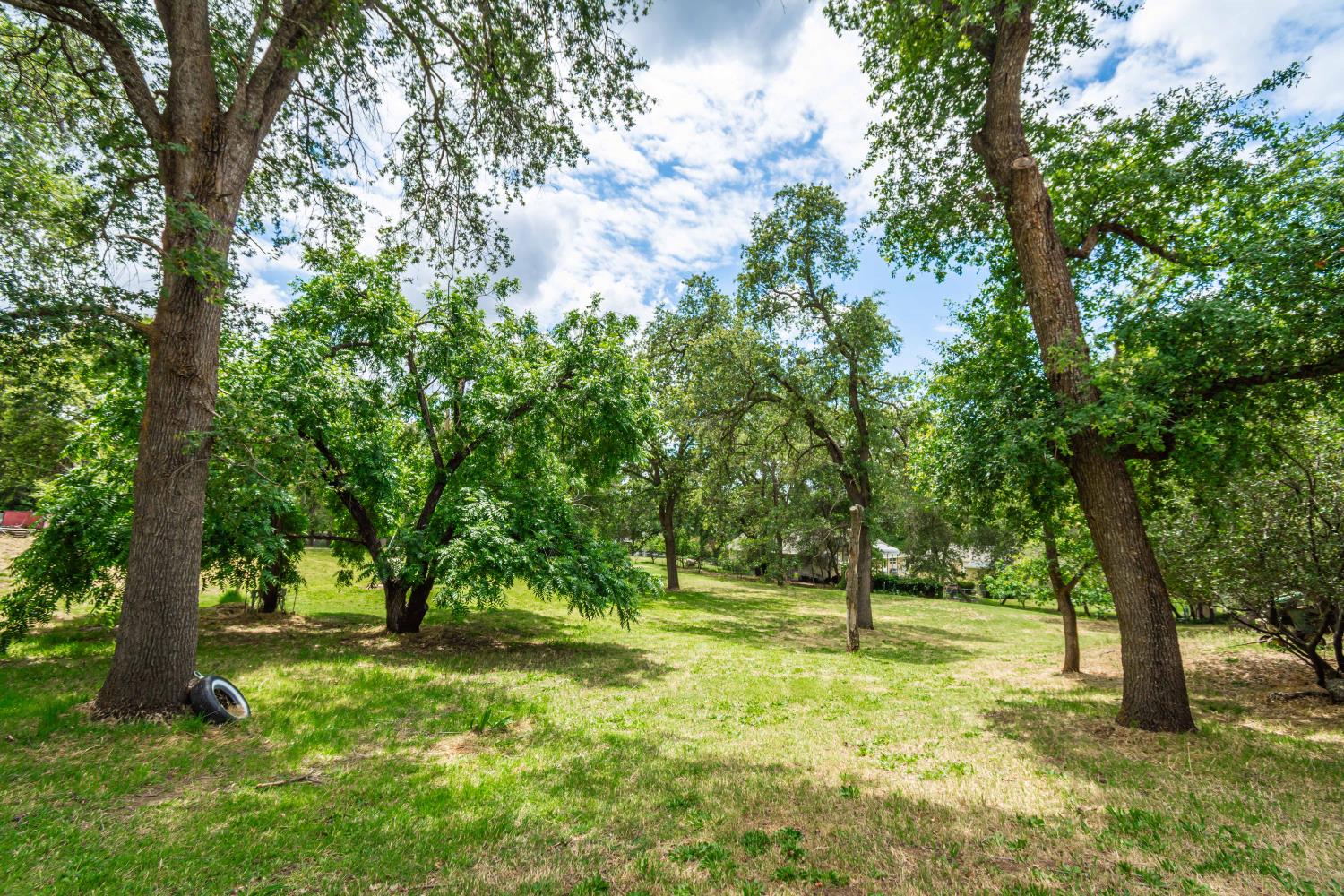 7921 Rasmussen Road Loomis, CA 95650 - Photo 41 of 59