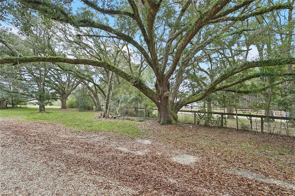 78212 Highway 1081 Covington, LA 70435 - Photo 23 of 23