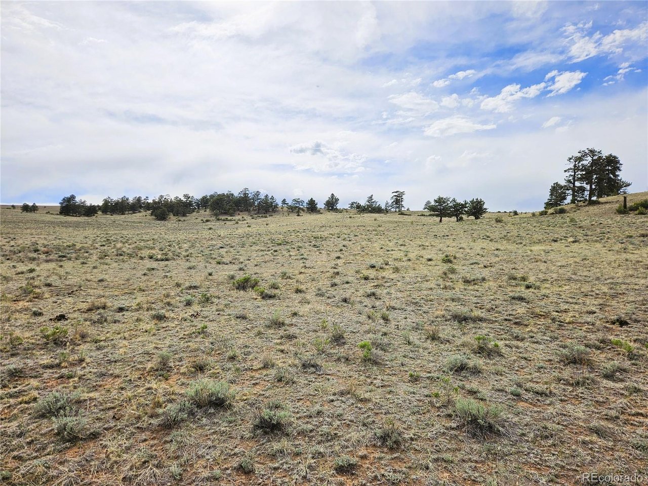24131 Chato Road Hartsel, CO 80449 - Photo 26 of 28