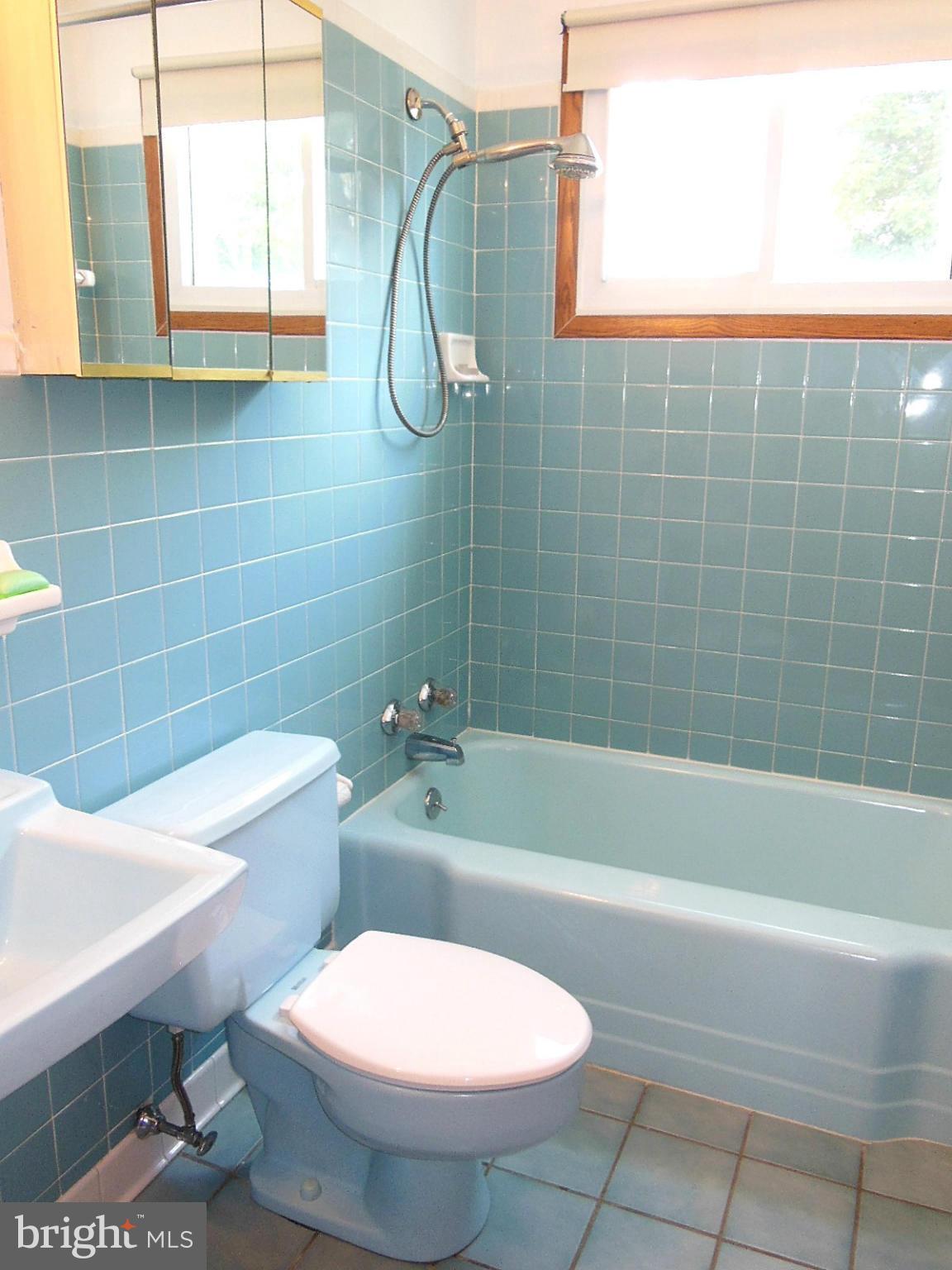 115 South Tollgate Road Owings Mills, MD 21117 - Photo 24 of 30 Bath