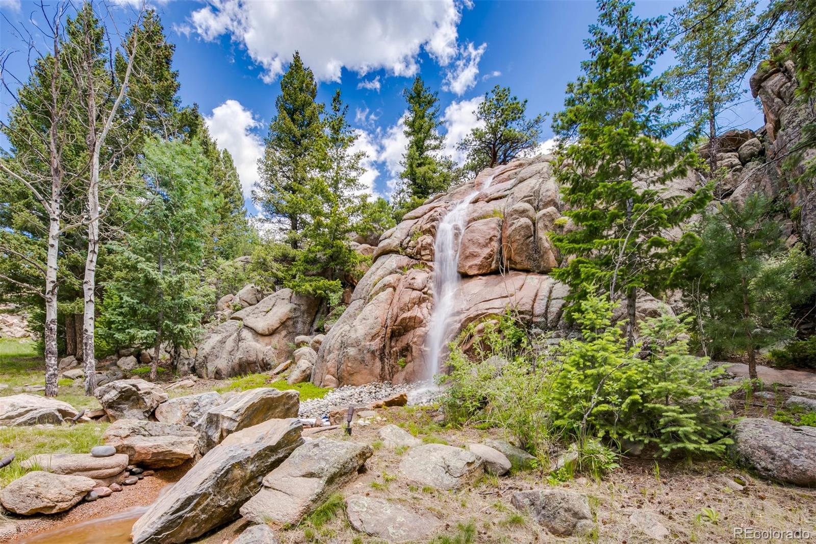 6917 Timbers Drive Evergreen, CO 80439 - Photo 39 of 39 a view of a backyard of the house
