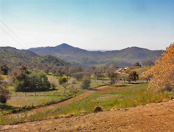 45368 Longview Road Squaw Valley, CA 93675 - Photo 14 of 29 Gallery Image 14