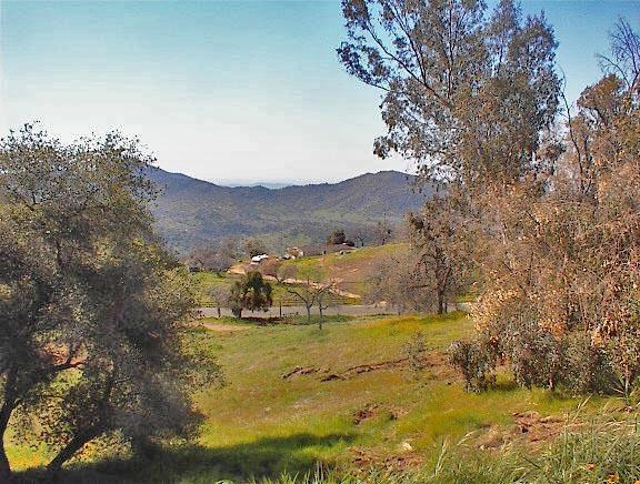 45368 Longview Road Squaw Valley, CA 93675 - Photo 16 of 29 Gallery Image 16