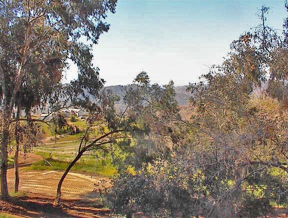 45368 Longview Road Squaw Valley, CA 93675 - Photo 19 of 29 Gallery Image 19