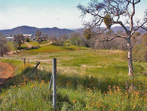 45368 Longview Road Squaw Valley, CA 93675 - Photo 25 of 29 Gallery Image 25