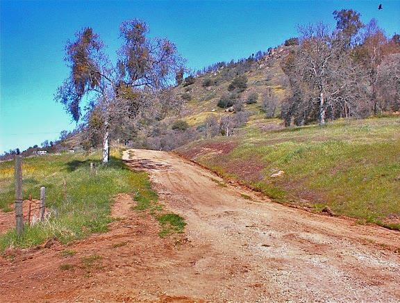 45368 Longview Road Squaw Valley, CA 93675 - Photo 29 of 29 Gallery Image 29