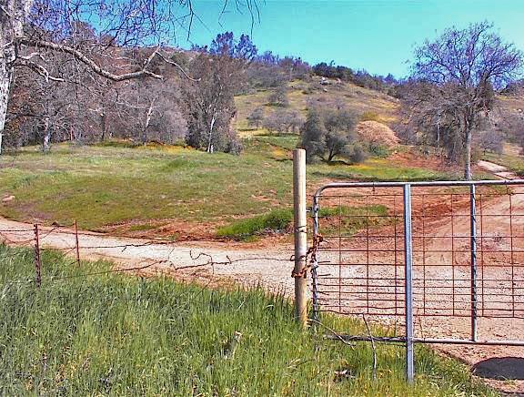 45368 Longview Road Squaw Valley, CA 93675 - Photo 4 of 29 Gallery Image 4