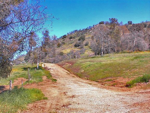 45368 Longview Road Squaw Valley, CA 93675 - Photo 5 of 29 Gallery Image 5