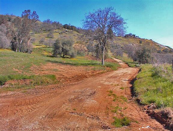 45368 Longview Road Squaw Valley, CA 93675 - Photo 6 of 29 Gallery Image 6