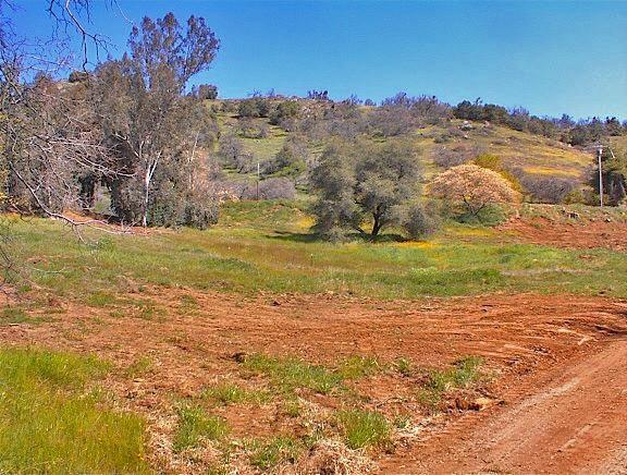 45368 Longview Road Squaw Valley, CA 93675 - Photo 7 of 29 Gallery Image 7