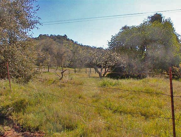 45368 Longview Road Squaw Valley, CA 93675 - Photo 8 of 29 Gallery Image 8