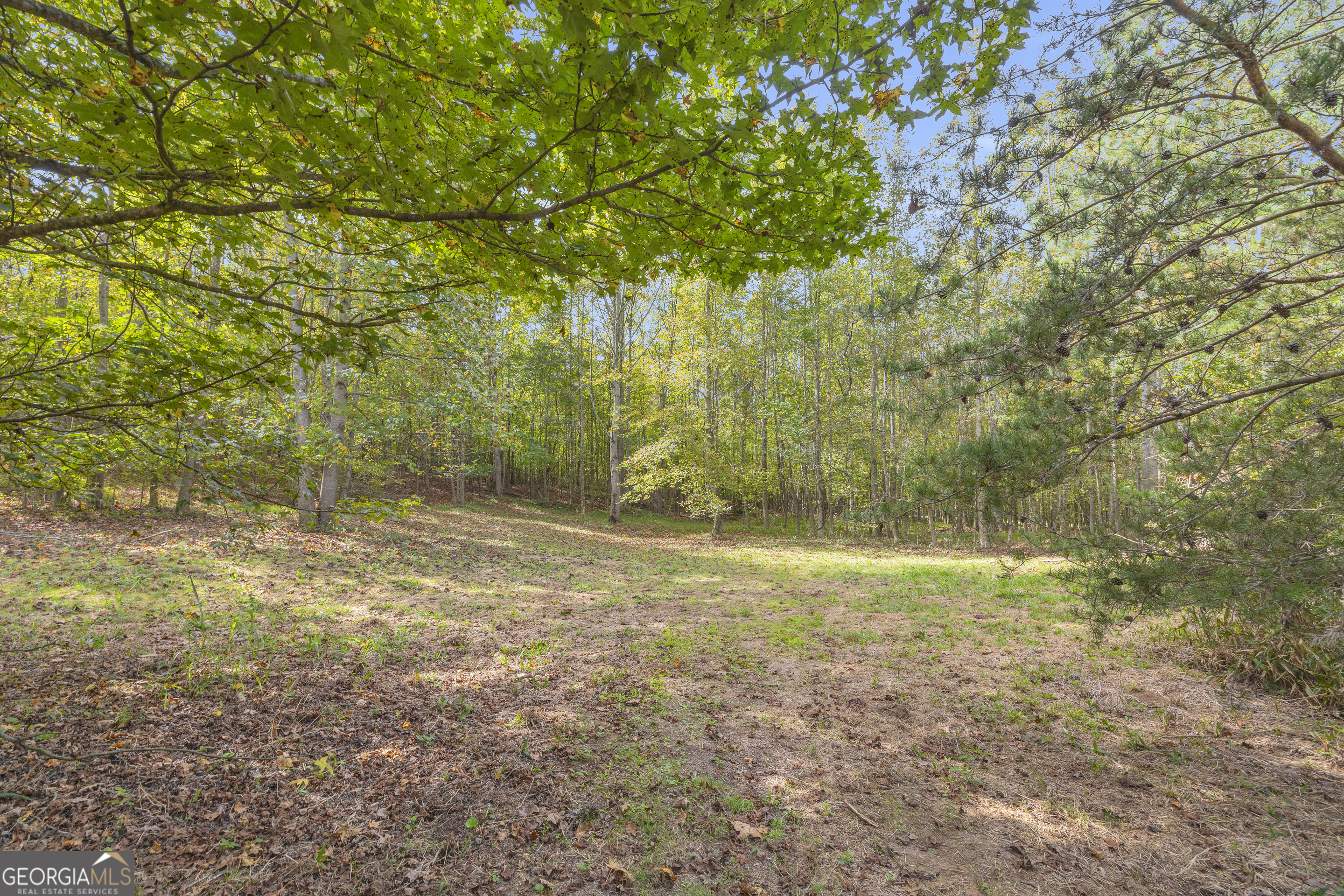 438 Turner Road Cleveland, GA 30528 - Photo 101 of 118
