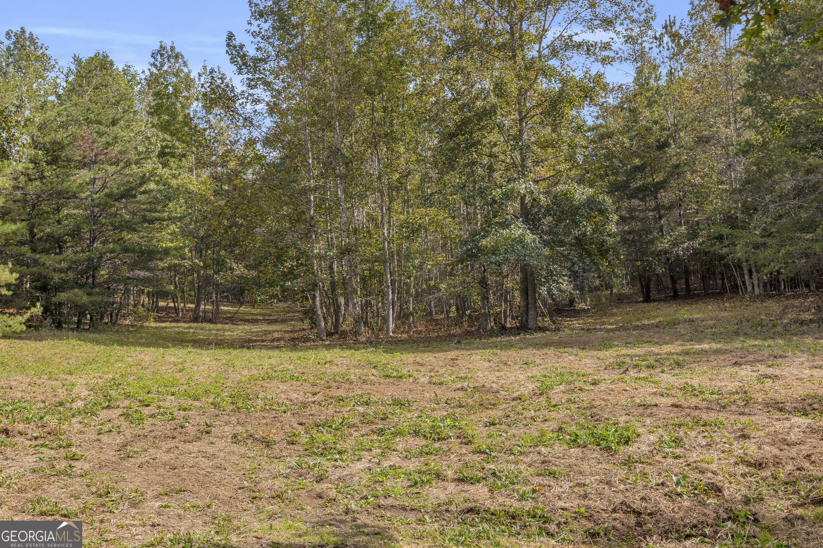 438 Turner Road Cleveland, GA 30528 - Photo 102 of 118