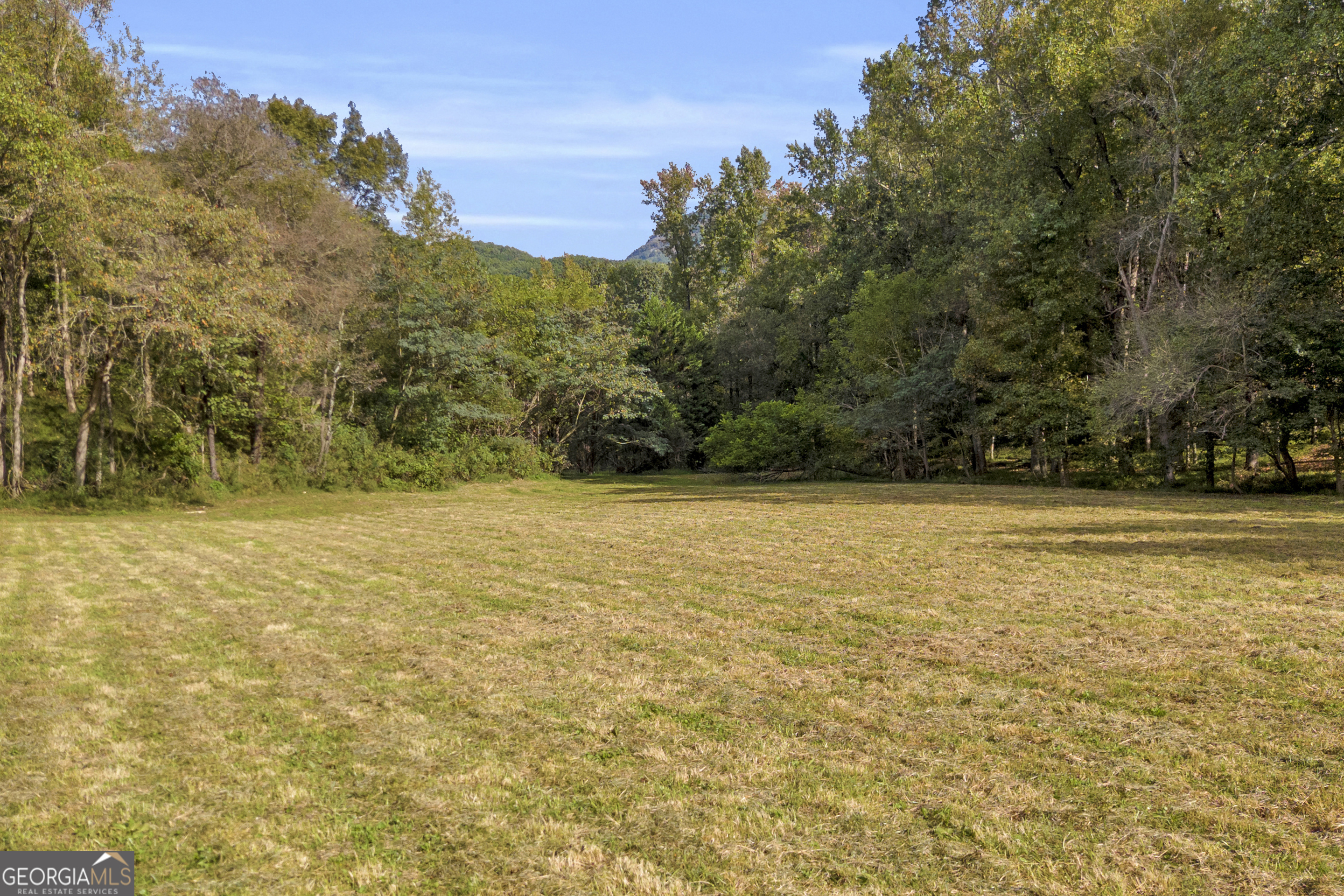 438 Turner Road Cleveland, GA 30528 - Photo 52 of 118
