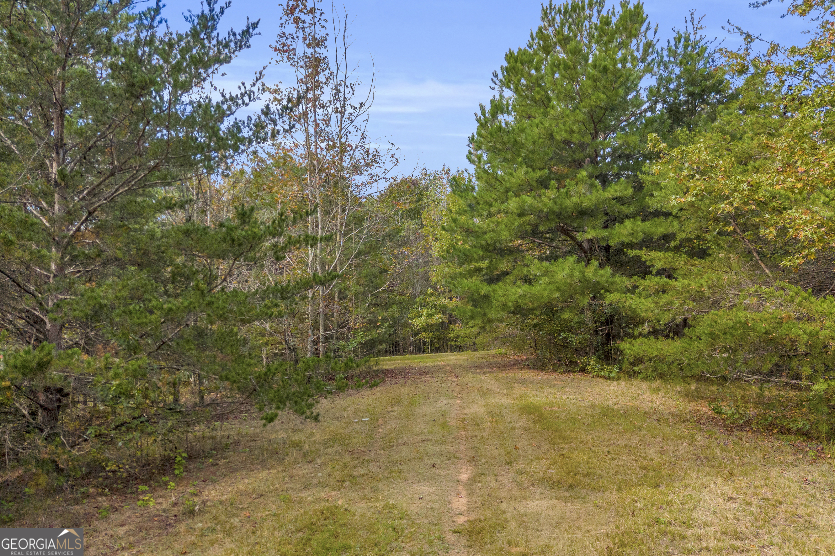 438 Turner Road Cleveland, GA 30528 - Photo 65 of 118