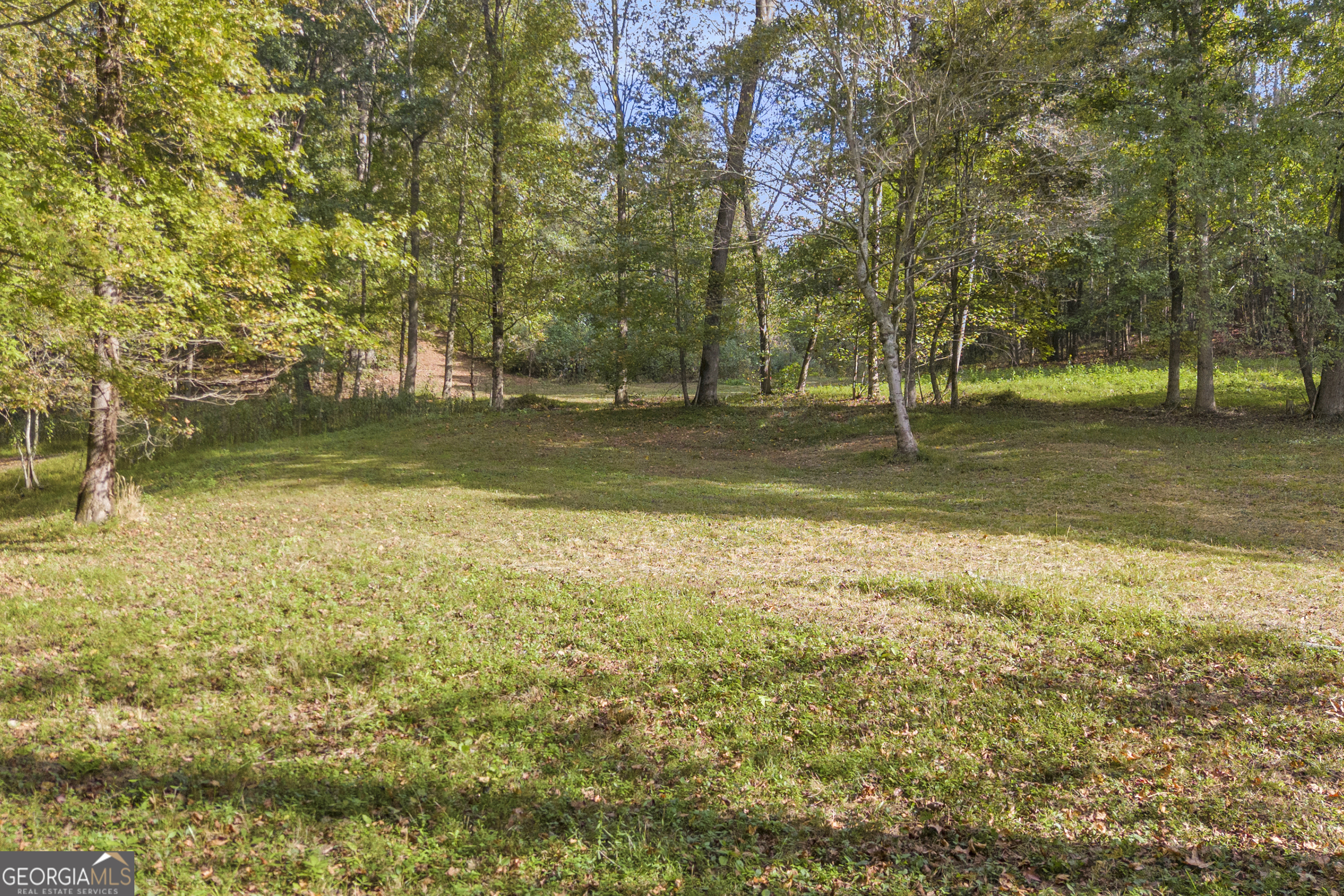 438 Turner Road Cleveland, GA 30528 - Photo 7 of 118