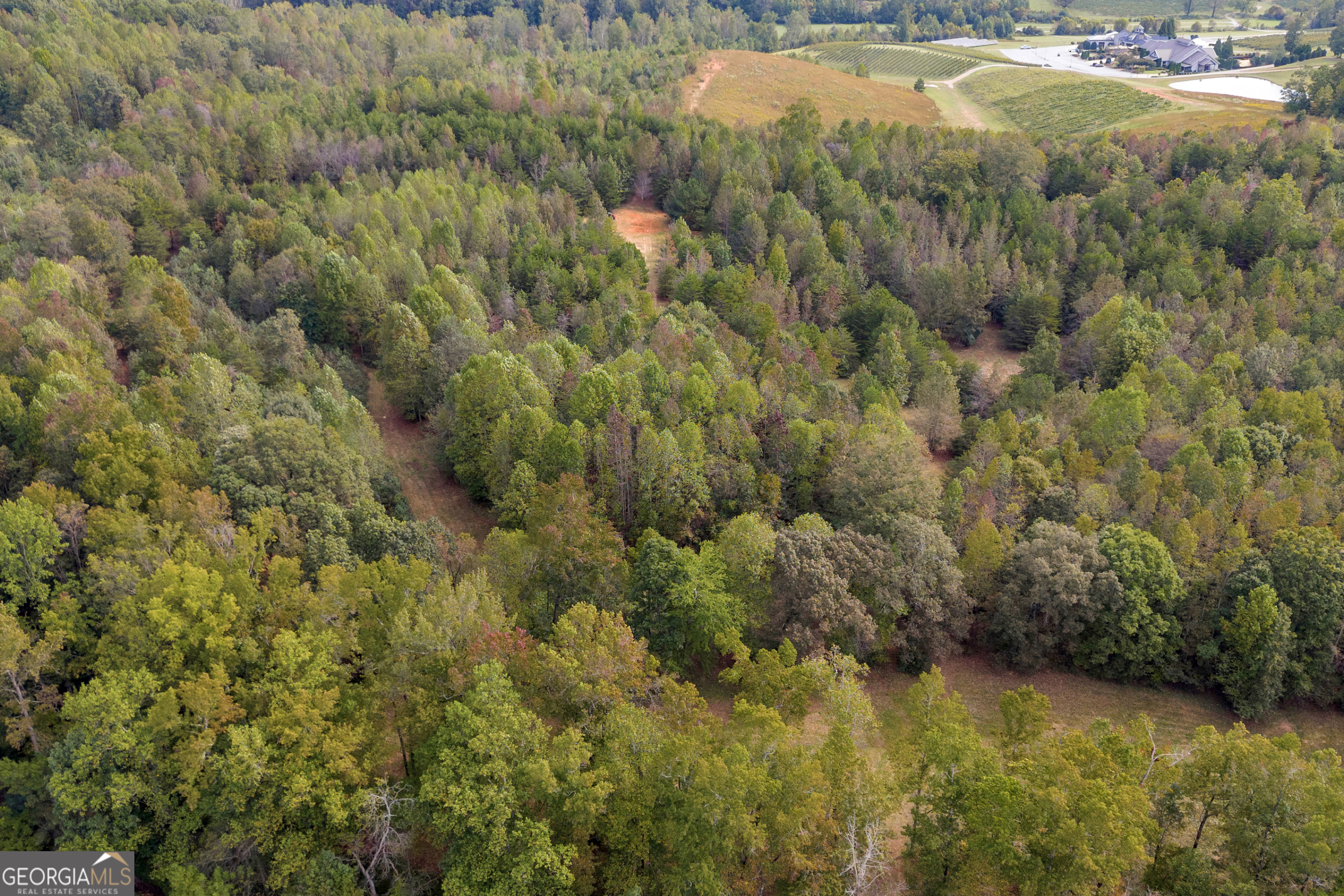 438 Turner Road Cleveland, GA 30528 - Photo 75 of 118